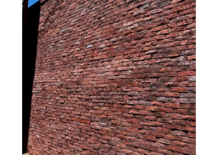 DỮ LIỆU MẪU 